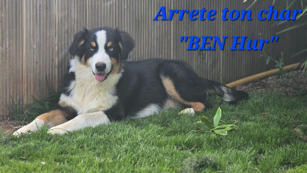 Arrete ton char ben hur Des Champs De Beyssac