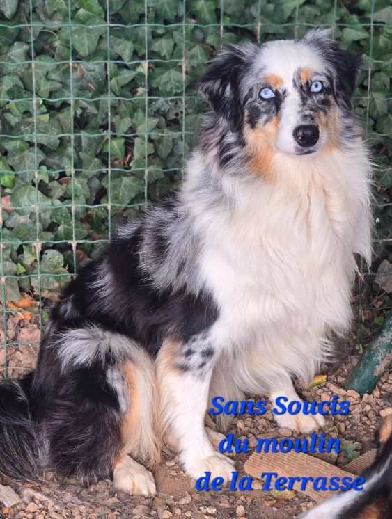 Sans souci du Moulin de la Terrasse